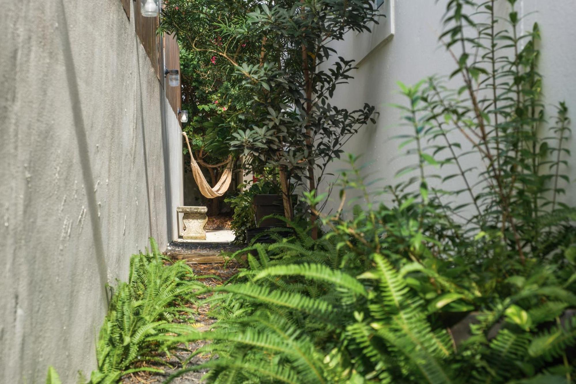 Dream Beach House by Sonsoleá Host Luquillo Esterno foto
