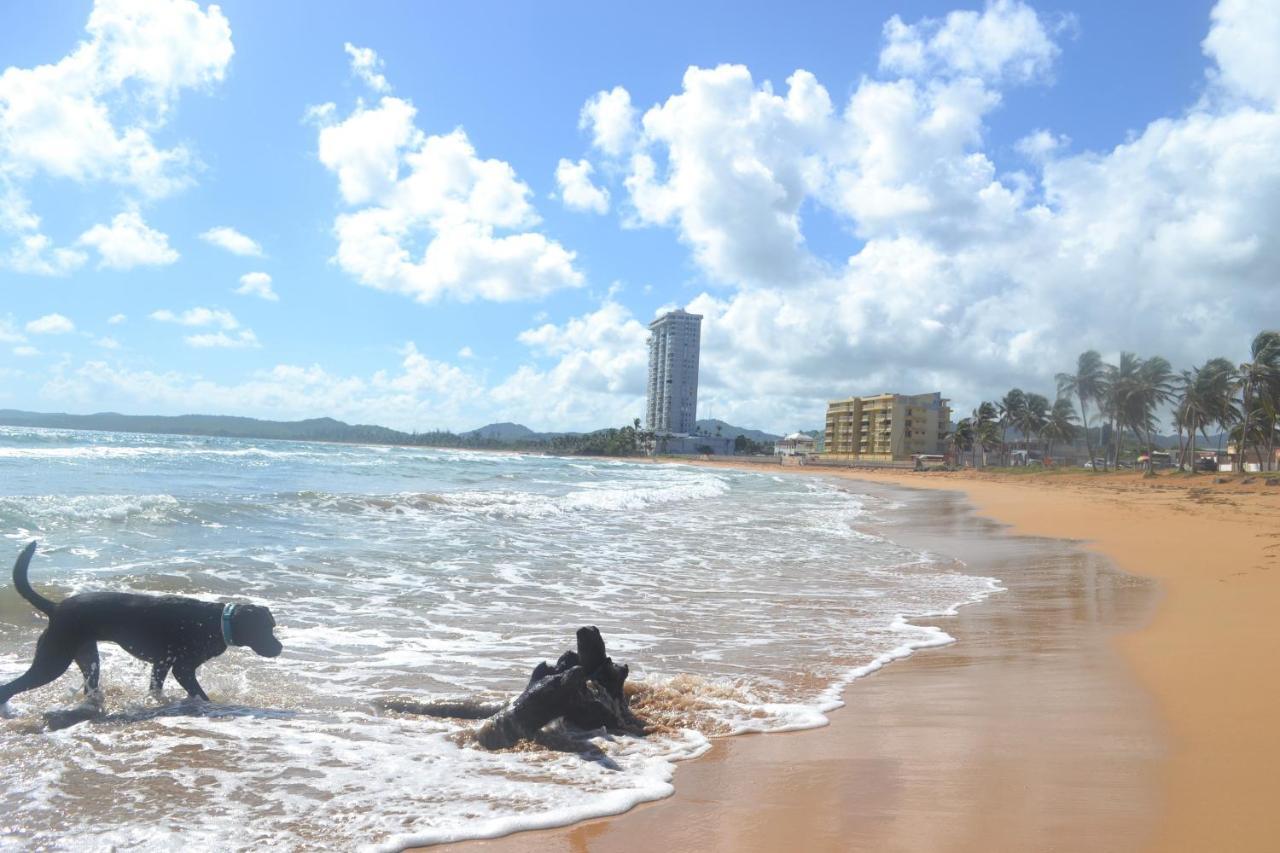 Dream Beach House by Sonsoleá Host Luquillo Esterno foto